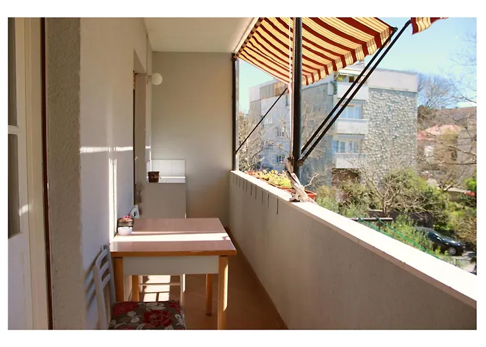 Brazuca-center 公寓